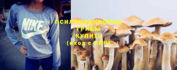 ГАЛЛЮЦИНОГЕННЫЕ ГРИБЫ Елизово