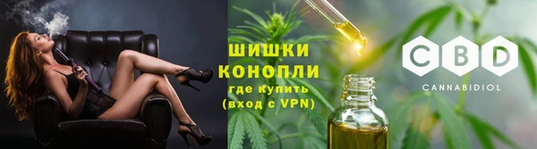 амф Елабуга