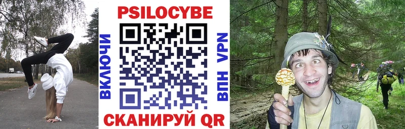 купить наркотик  Черкесск  Псилоцибиновые грибы GOLDEN TEACHER 